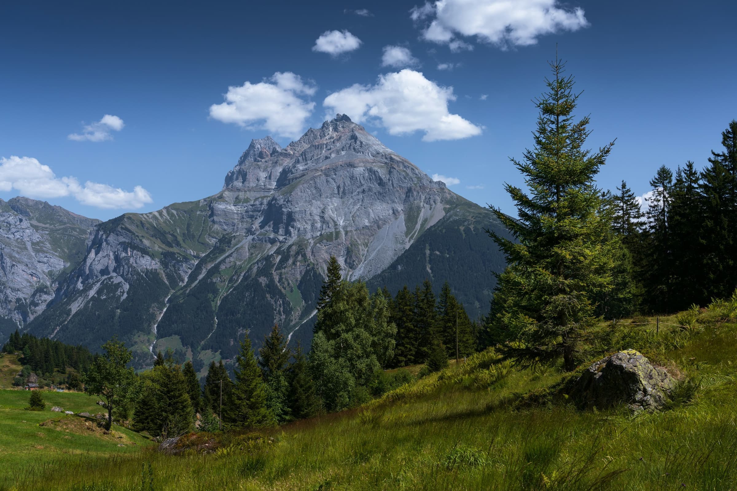 An alpine peak above a pine forest under a clear sky